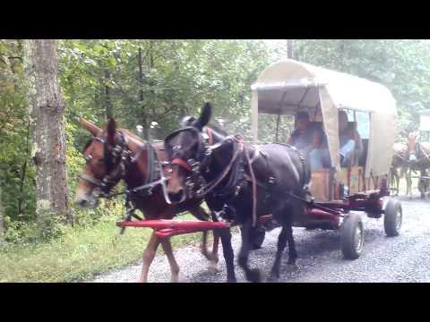 Western NC Wagon Train