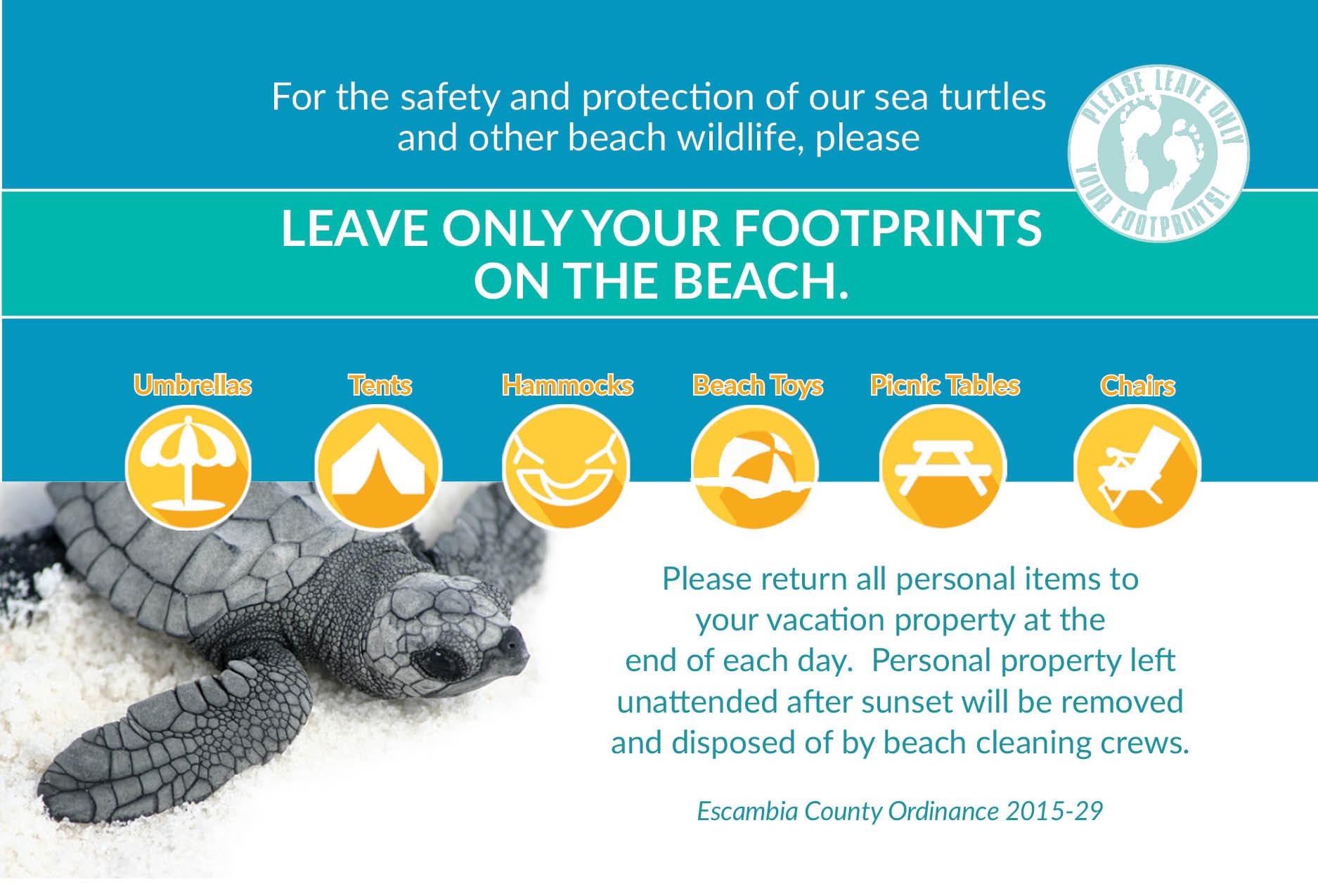 Beach Rules and Ordinances