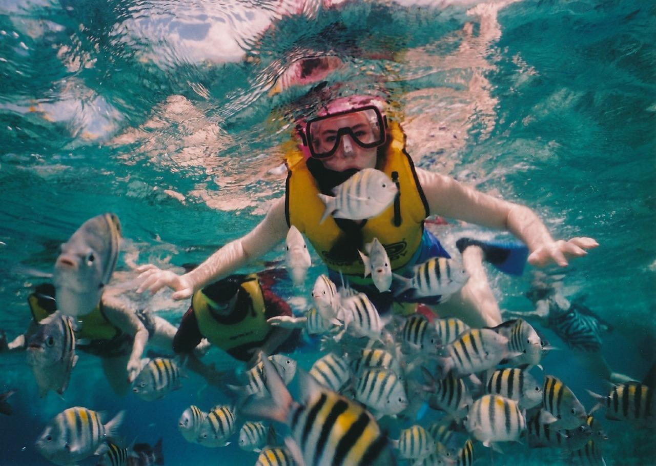 Full Face Snorkeling Masks Or Traditional Snorkeling Equipment For Your Hawaii Vacation