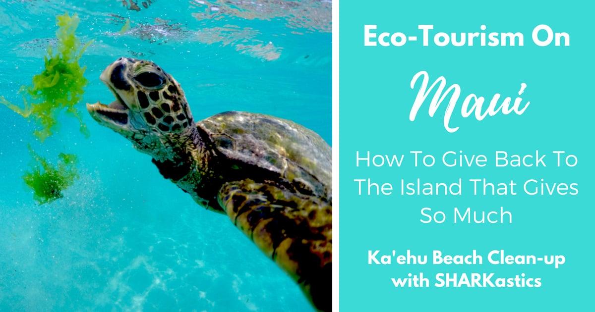 Eco-Tourism On Maui | How To Give Back To The Island That Gives So Much