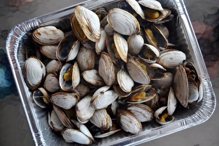 New England Steamed Clams | Guide & Recipes