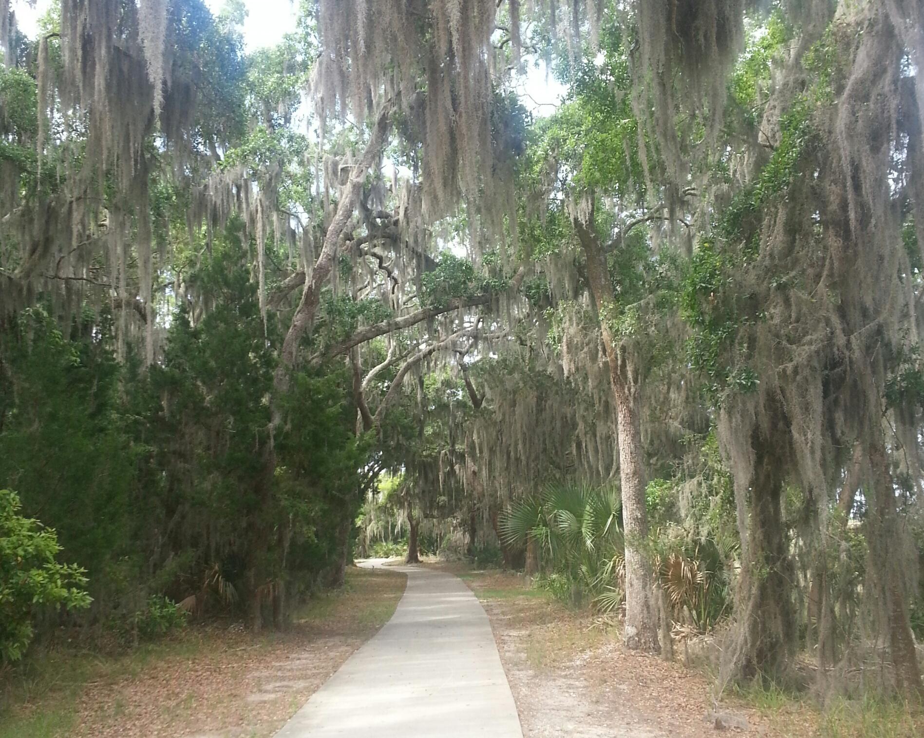 Birds, Beaches, and Bike Trails - Cycling on Jekyll Island