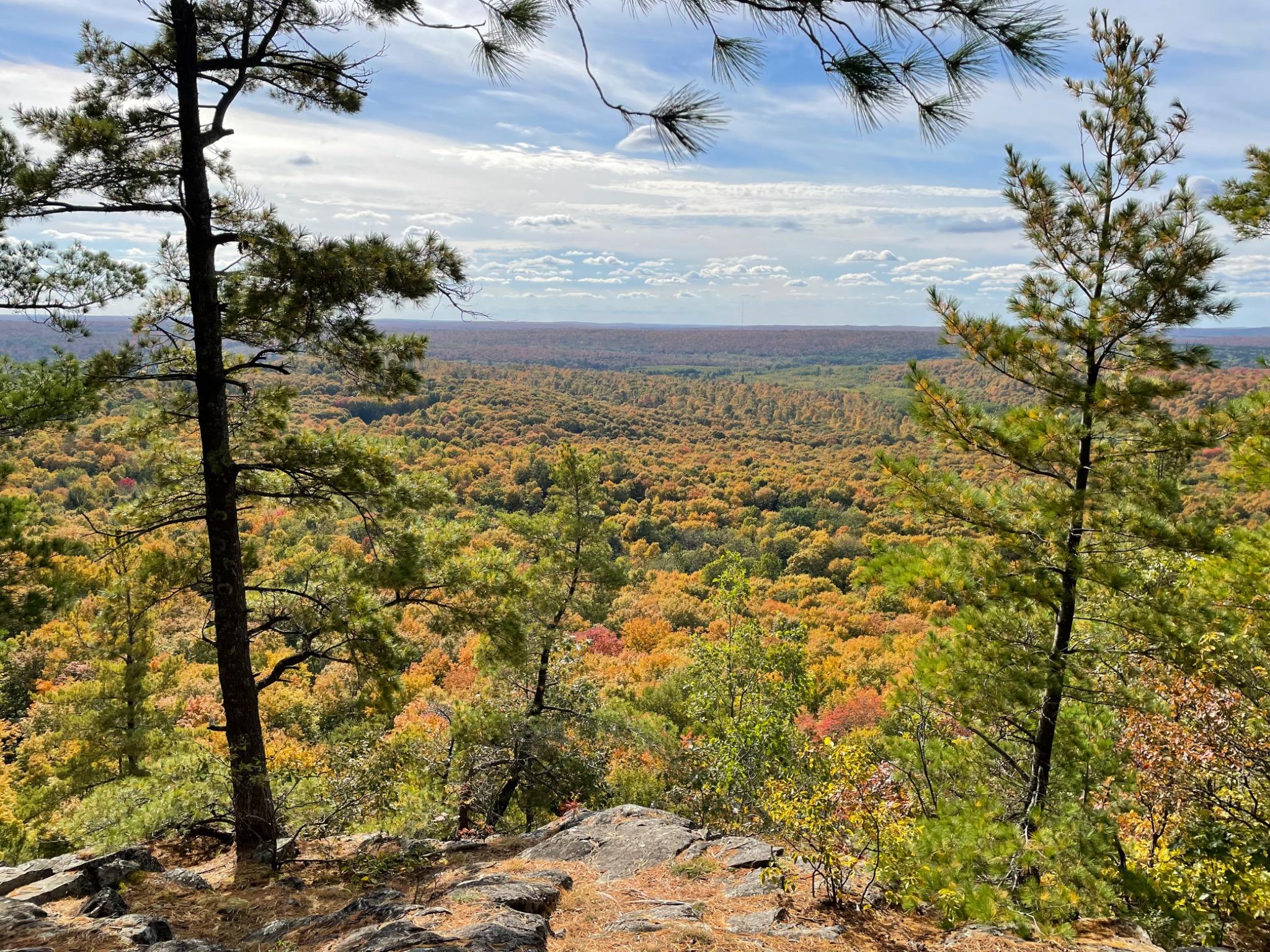 Fall Colors from the top of Wolf Mountain