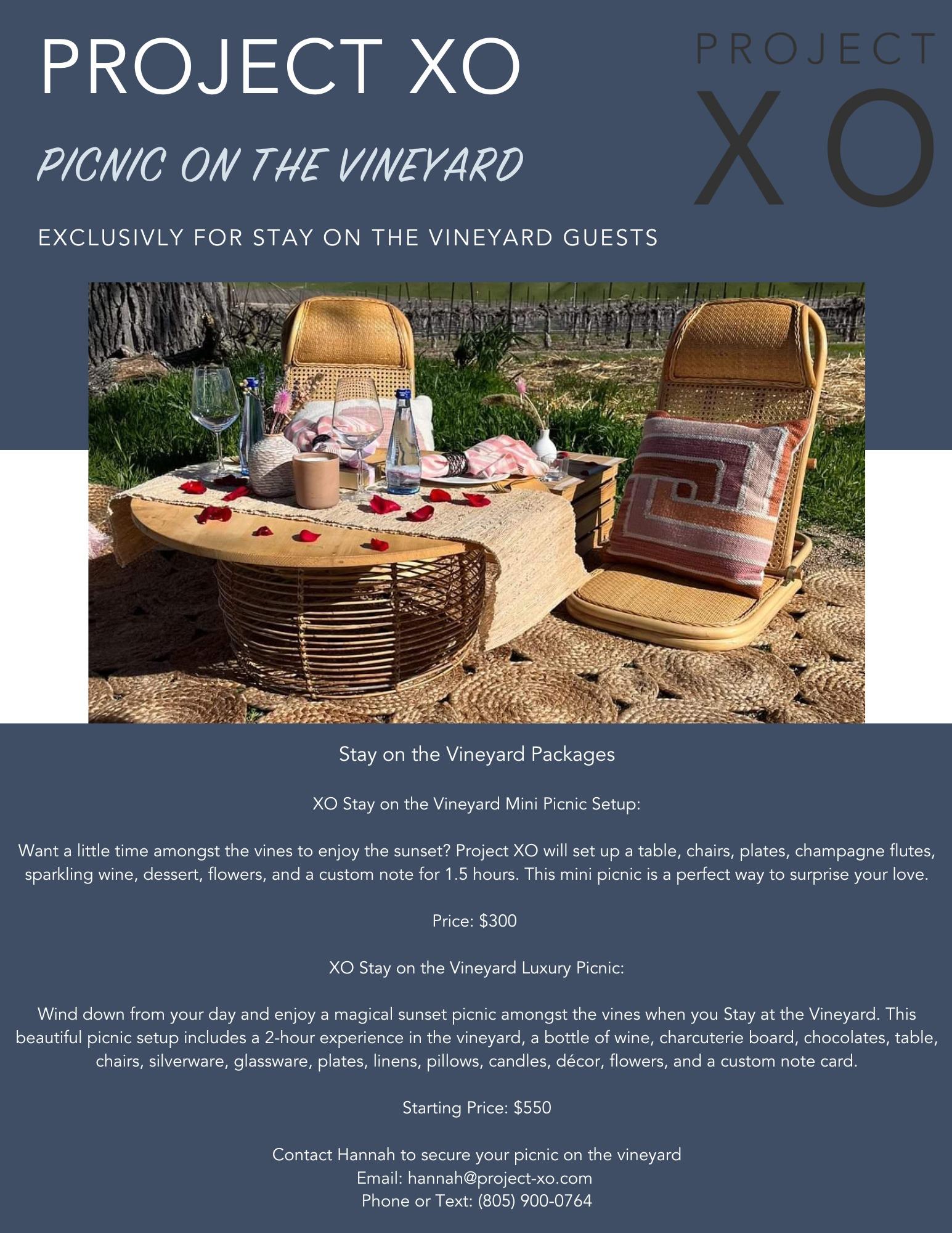 Luxury Picnic on the Vineyard