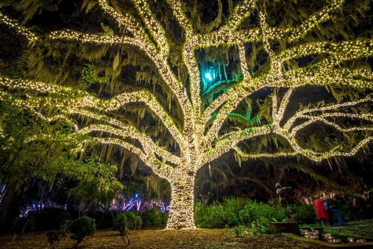 Night of a Thousand Candles - Brookgreen Gardens, Pawley's Island, SC