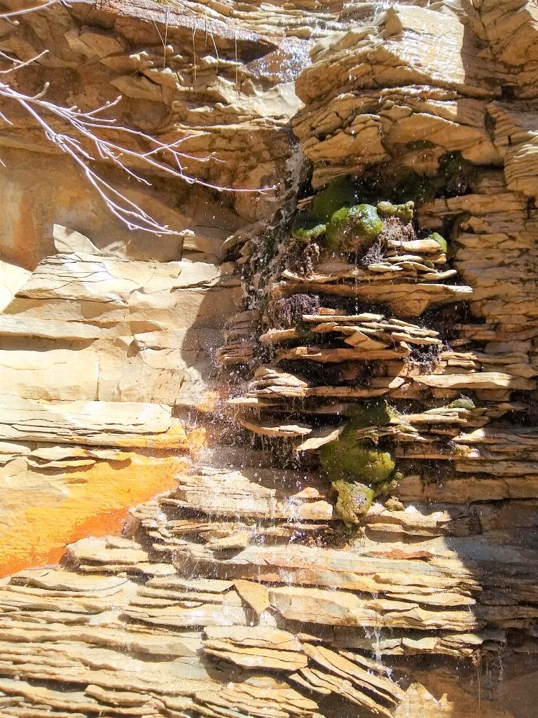 Beyond the Boundaries of Zion National Park