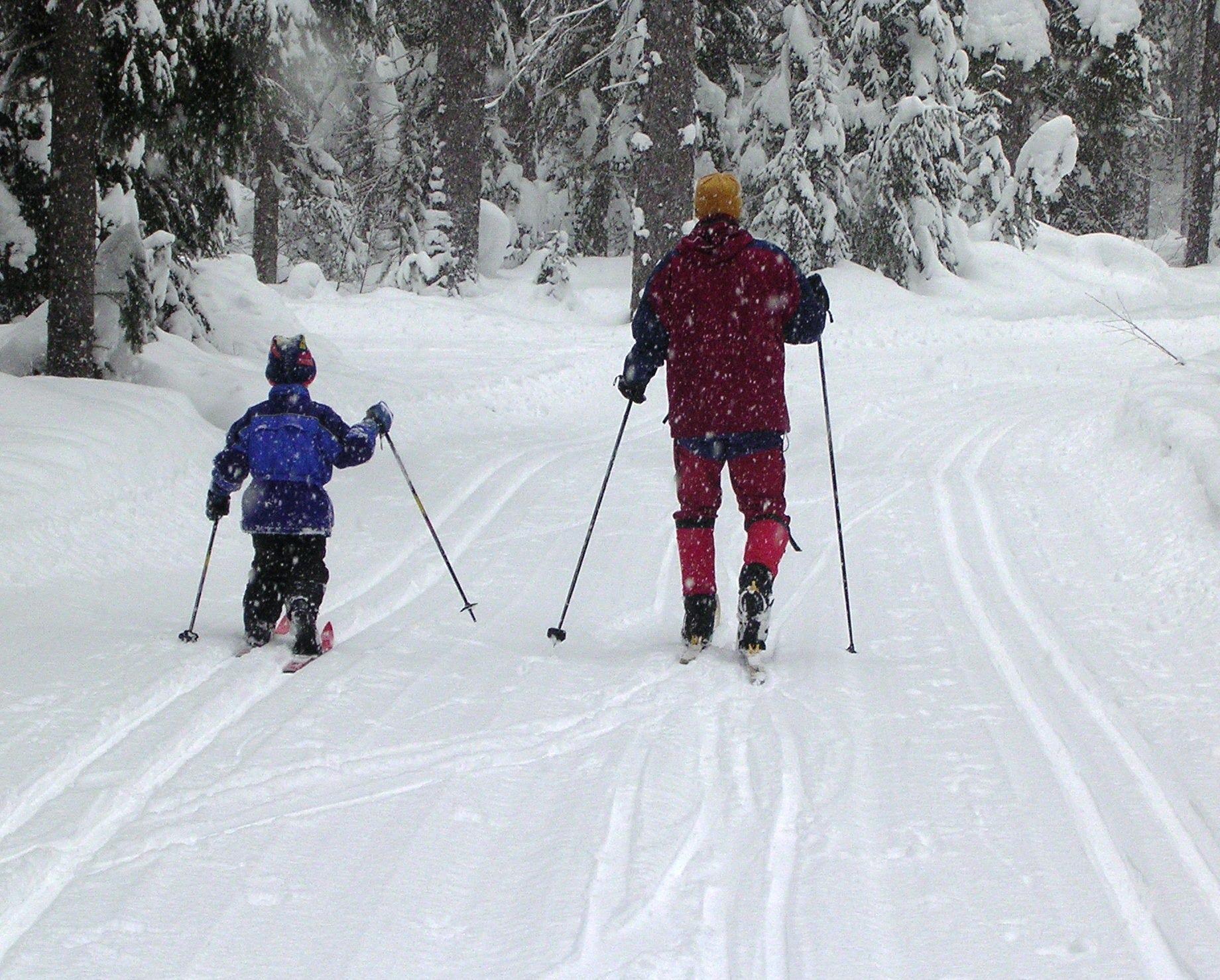 Cross Country Skiing In The Okemo~Killiington Area