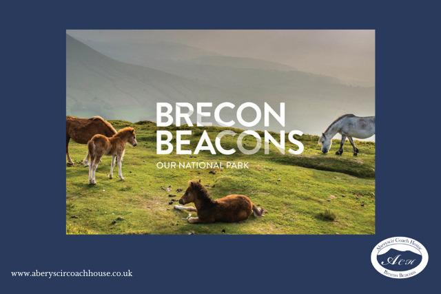 My Brecon Beacons