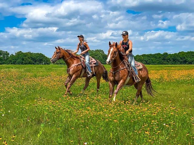 Saddle Up at Benbrook Stables