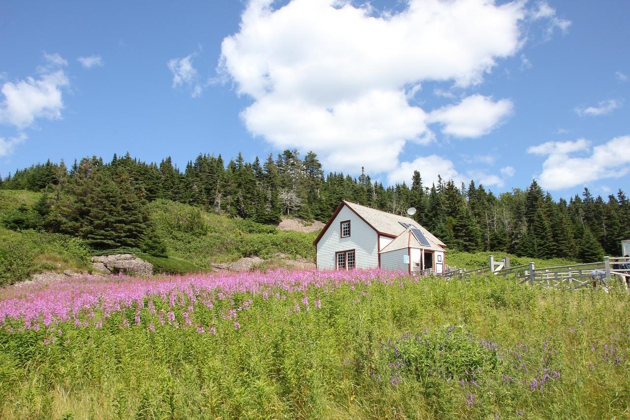 6 Best Off-grid Cabins for a Peaceful Getaway