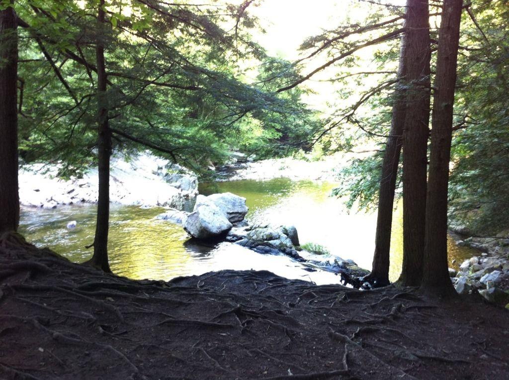 Ludlow ~ Buttermilk Falls, Ludlow, Vermont 05149