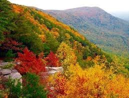 Vineyard at Yukon Luxury stay in Ellijay/Talking Rock Area