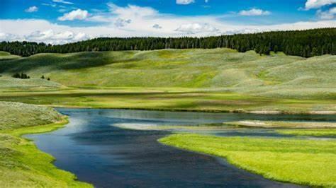 Road Trip to Yellowstone National Park!