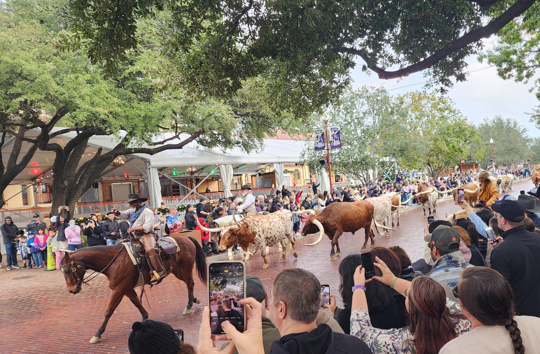 Step Into the Old West: Fort Worth Stockyards