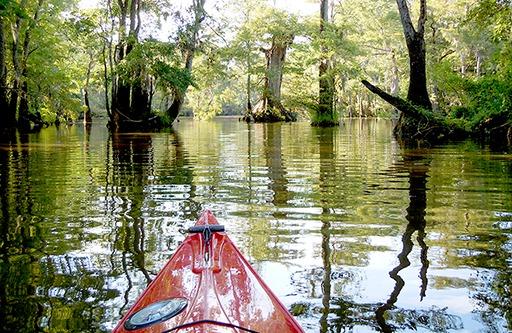 Waccamaw National Wildlife Refuge